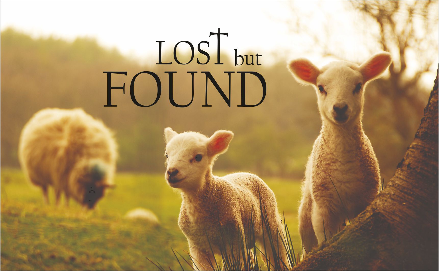 Lost but Found – Porvorim