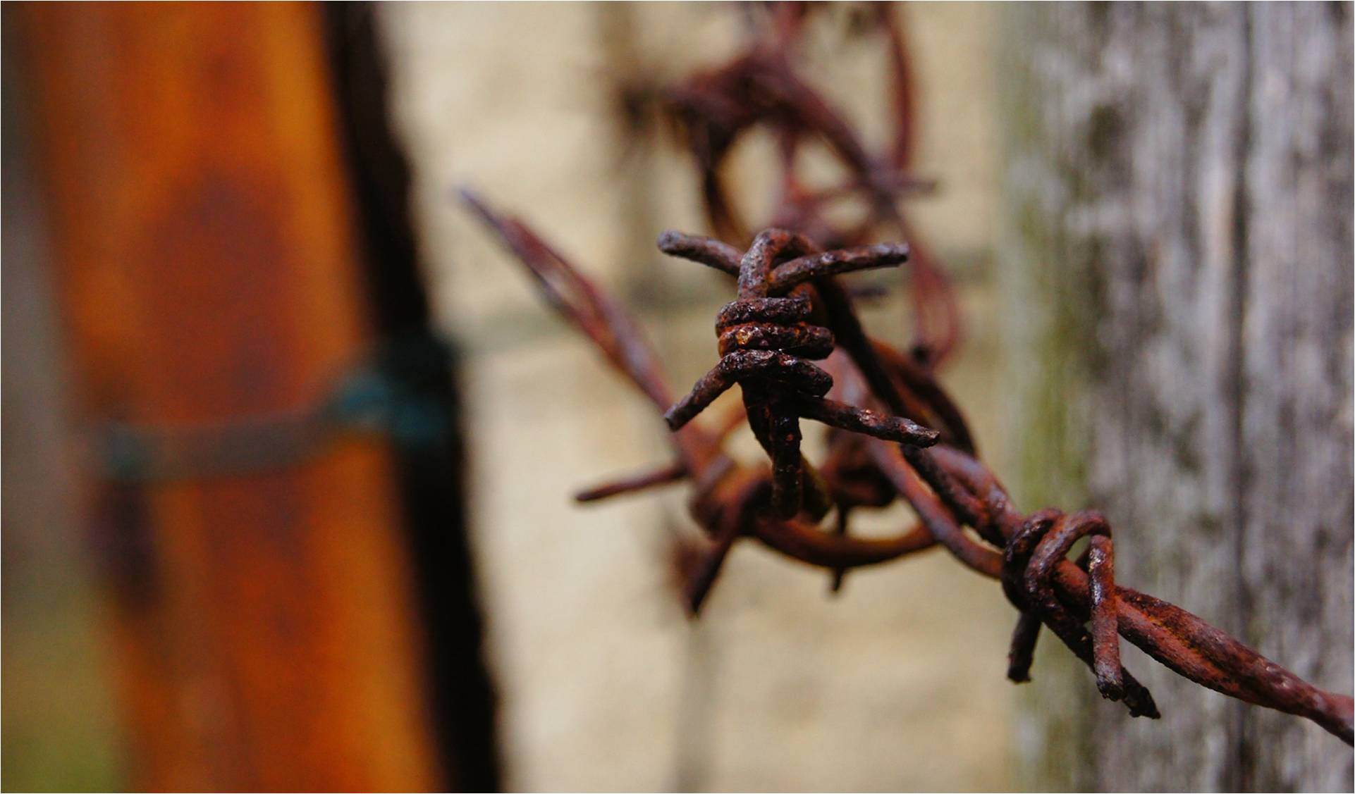 The Holes in Holiness